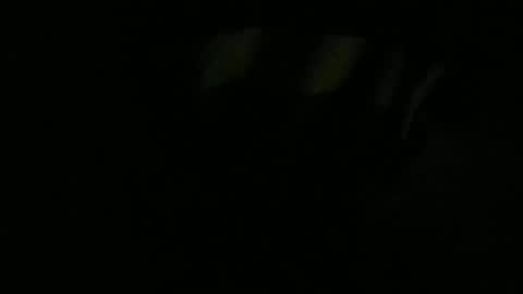 Lira online show from 01.13.26