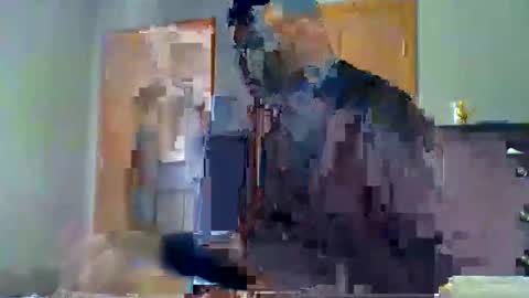 mauricescott online show from 04.11.26