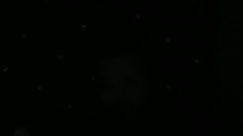 maurodcali online show from 06.01.26