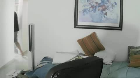 max_2017 online show from 01.17.25