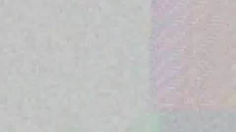 Max Taylor online show from 04.07.26