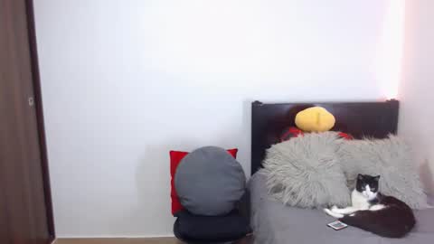 Snapshot of maximus_golden chatting on 02.18.26 Independent Model online show from 02.18.26