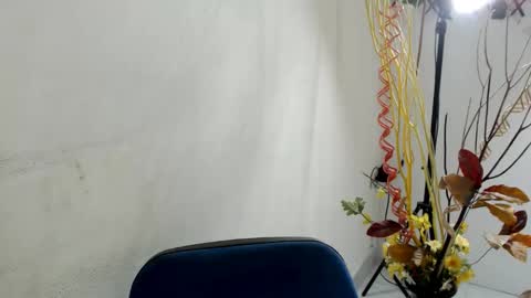 Snapshot of maxinesex_ chatting on 03.12.25 maxinesex_ online show from 03.12.25