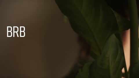 Snapshot of maymary_ chatting on 12.28.24 Mary . online show from 12.28.24