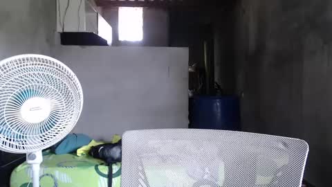 Mcgregor online show from 12.27.24