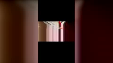 Snapshot of mcgriffwes2 chatting on 02.12.26 mcgriffwes2 online show from 02.12.26