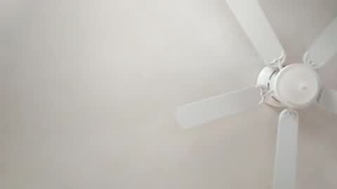 mcwire4 online show from 01.01.25