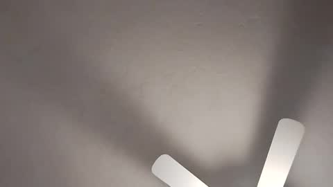 mcwire4 online show from 01.19.25