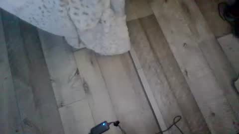 me_him_us_them online show from 11.19.25