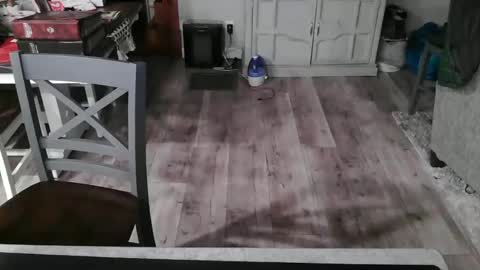 GlamTransGoddess online show from 02.26.25