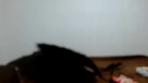 meganharry online show from 07.12.26