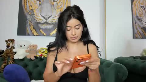 megpalmer online show from 05.15.26