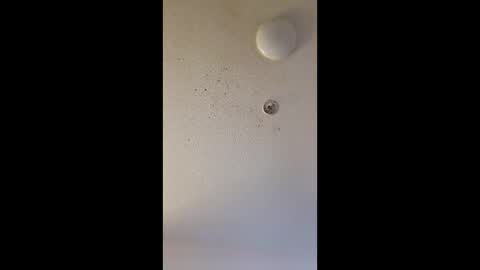 mel_hart_jr online show from 03.25.26