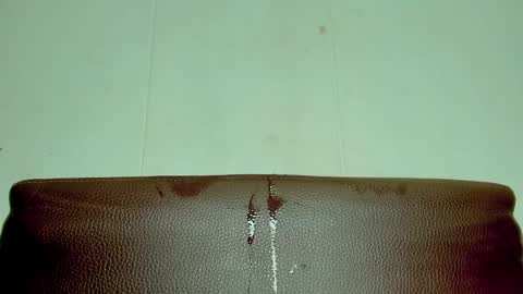 Melania online show from 04.12.26