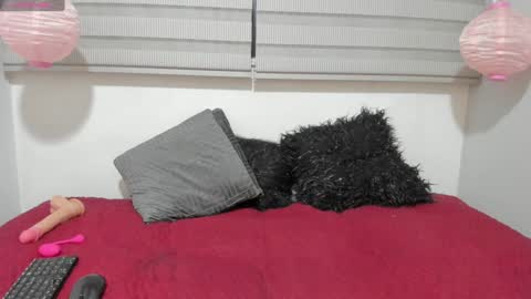 Snapshot of melanie_hh chatting on 01.19.25 Melanie online show from 01.19.25