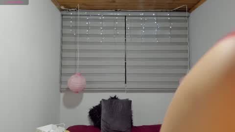 Snapshot of melanie_hh chatting on 01.19.25 Melanie online show from 01.19.25