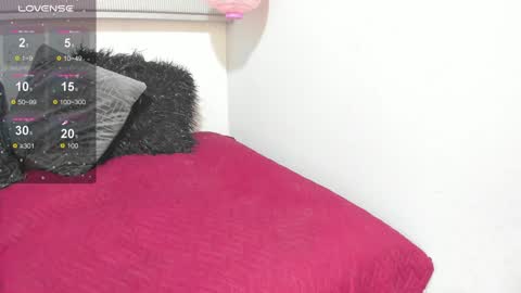 Snapshot of melanie_hh chatting on 01.26.25 Melanie online show from 01.26.25