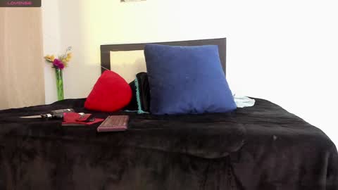 Snapshot of melaniie_roussel chatting on 12.22.24 melaniie_roussel online show from 12.22.24