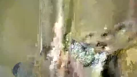 Baby online show from 12.04.25