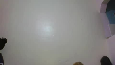 Baby online show from 02.12.26