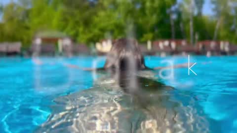 Adel online show from 12.12.24