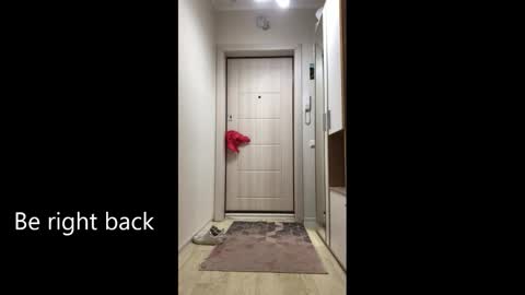 Melina online show from 02.25.26