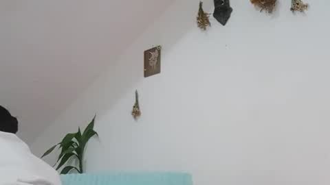 melissa online show from 11.01.25