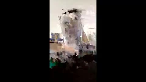 melissaknowles46 online show from 02.01.26