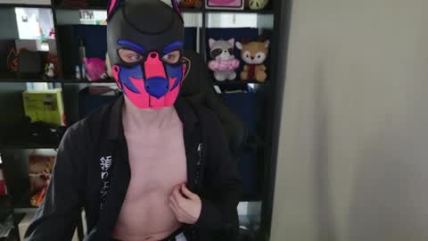 MellPUP online show from 04.01.26