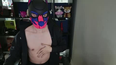 MellPUP online show from 04.02.26