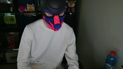 MellPUP online show from 04.05.26