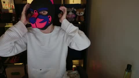 MellPUP online show from 04.06.26