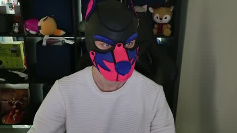 MellPUP online show from 04.08.26