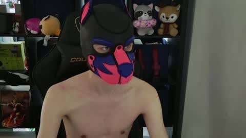 MellPUP online show from 04.09.26