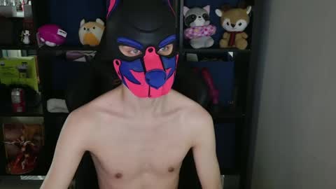 MellPUP online show from 04.15.26