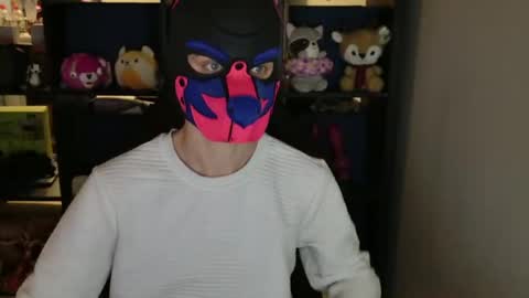 MellPUP online show from 04.15.26