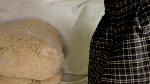 MelMooon online show from 03.09.26