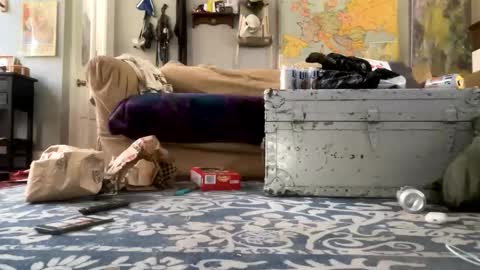 melt13 online show from 04.21.26