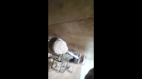 Snapshot of men_seeker chatting on 02.12.26 men_seeker online show from 02.12.26