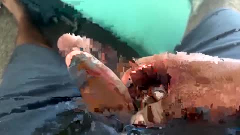 Toro loco online show from 09.14.25