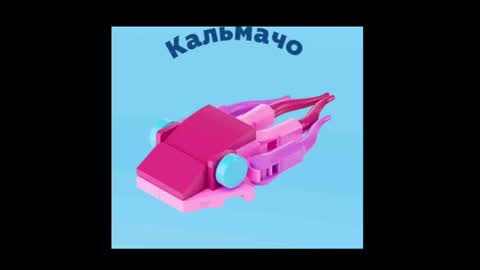 meowcr online show from 12.16.25