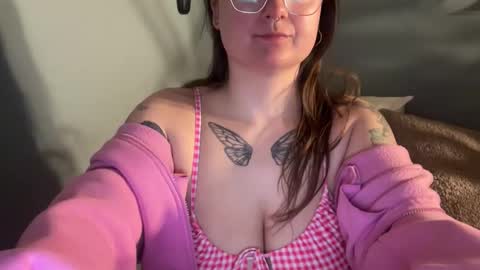 meowmaxx online show from 04.10.26