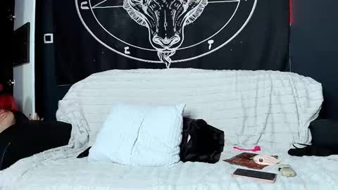 meowroslava online show from 11.17.25