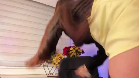 Merida  online show from 03.08.25