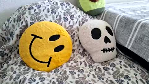 mexidaddycan online show from 12.17.25