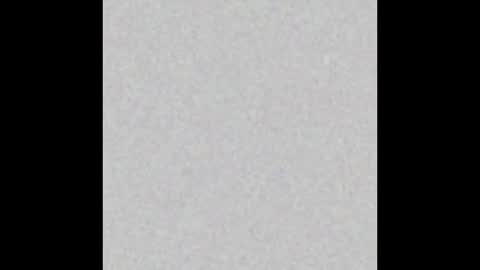 Alice online show from 02.26.25