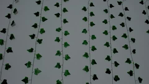 MIA online show from 12.20.25