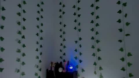 MIA online show from 03.11.26