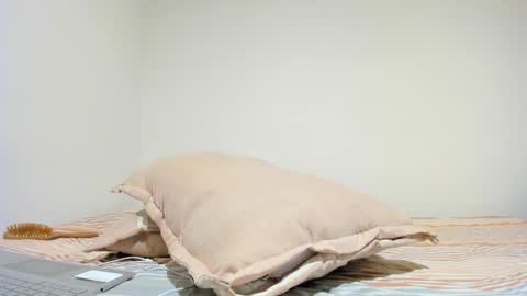 Snapshot of mia_xxx__ chatting on 10.16.25 MIA INDEPENDENT MODEL online show from 10.16.25