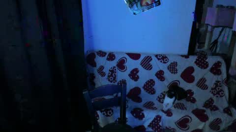 michael independent model  online show from 04.05.26